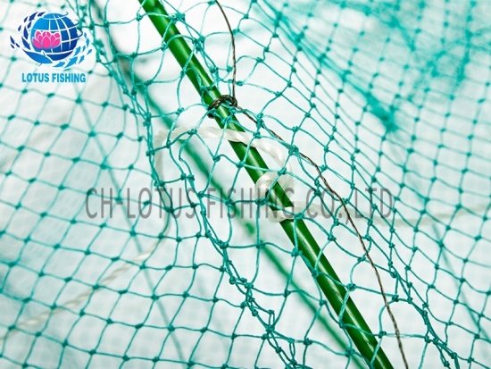 bas nylon monofilament de la thaïlande en fonte net filet de pêche 