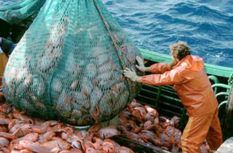 La chine le premier en haute mer auto-entretenue de pêche est mis en œuvre aujourd'hui